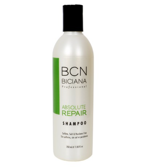 ABSOLUTE REPAIR SHAMPOO 350 ML